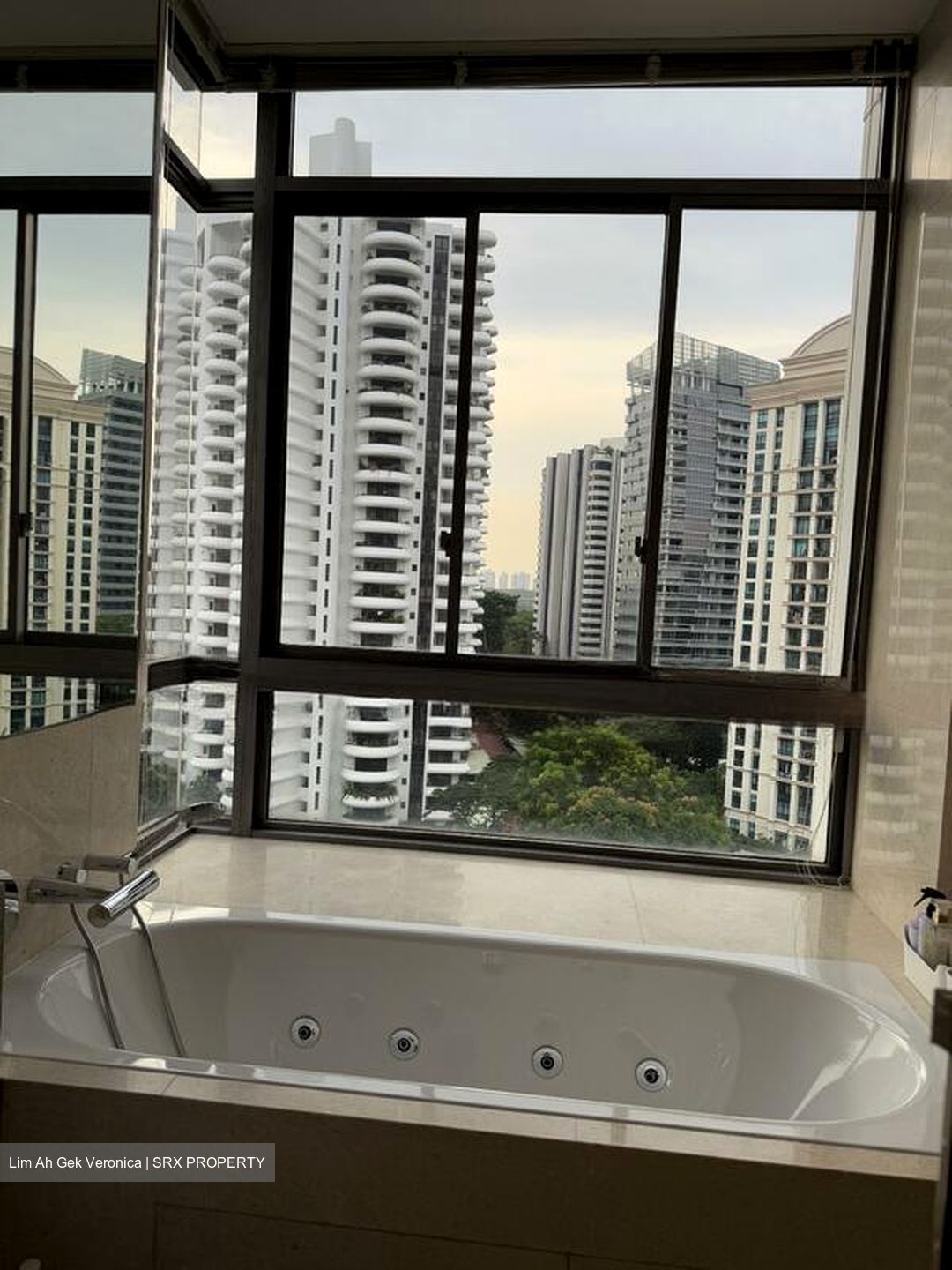 Latitude (D10), Condominium #499990391